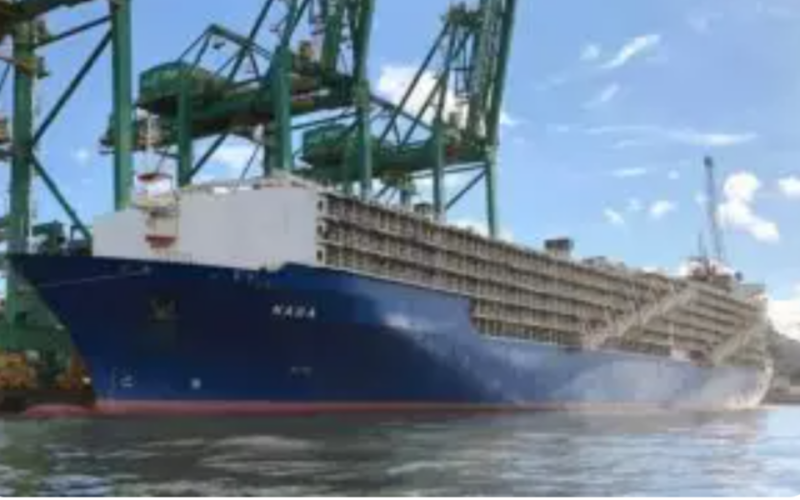 Maior navio boiadeiro do mundo parte com mais de 20.000 bovinos do Brasil para a Turquia